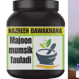 Majun Mumsik Fauladi